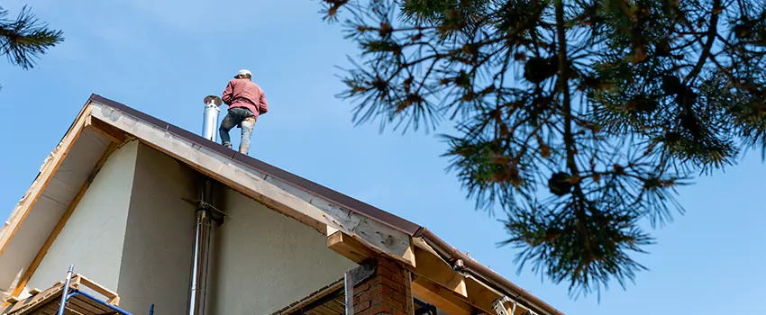 Birds Removal Contractors from Chimney in Burlington, KY